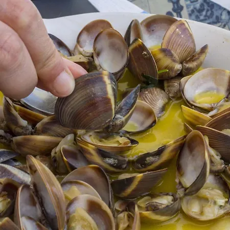 B81 - Casa Do Outeiro Westcoast Apartment Vila do Bispo